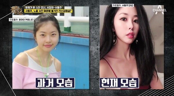 서동주 성형전 과거 + 결혼사진 이혼 나이 연봉 : 네이버 블로그