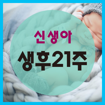  생후 21주 정보