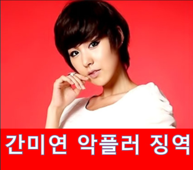 간미연 파파라치아닌 악플러 징역형 받았네요.