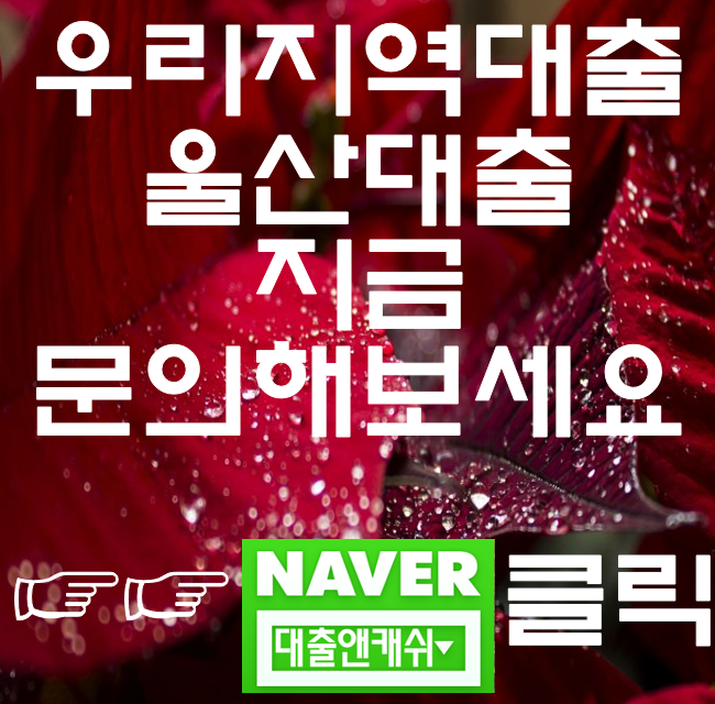  울산대출 당일대출로 진행해보시겠어요