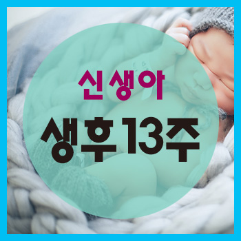  생후 13주 정보