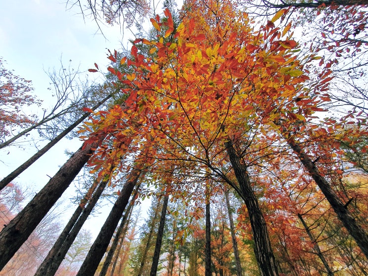  만산동국민여가캠핑장(19.11.01~19.11.03)