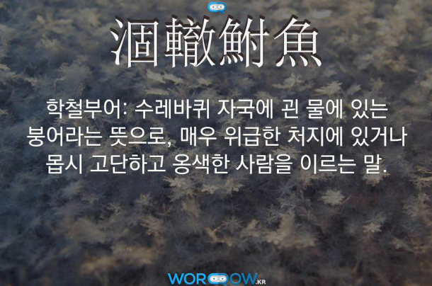  한 바가지의 물, 학철부어(涸轍鮒魚) 메뉴를 만든 이유