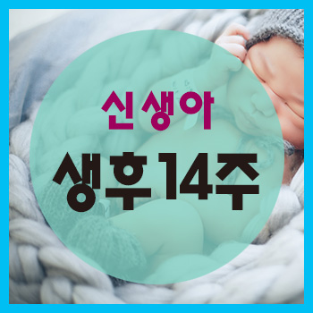  생후 14주 정보
