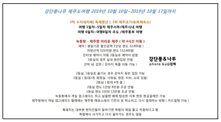  제주도 애견동반여행 꿀팁 총정리 경비 포함
