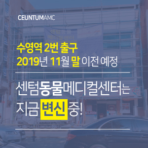  센텀동물메디컬센터는 지금 변신 중! (2019년 11월 말 확장이전 예정)