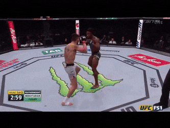 마동현, 최승우의 UFC 부산 생존경쟁 상대 프리뷰 마동현, 최승우의 UFC 부산 생존경쟁 상대 프리뷰