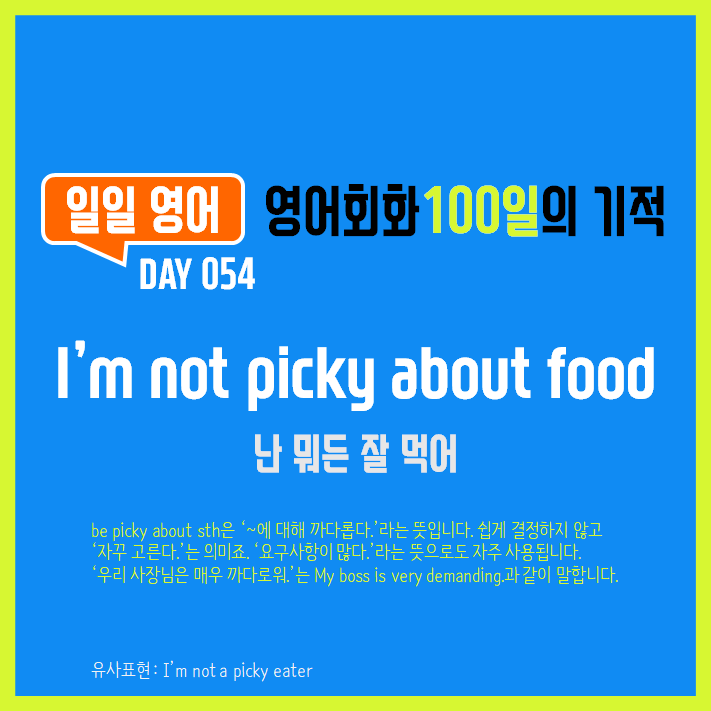  [일일영어] 영어회화 100일의 기적 Day 054. I'm not picky about food - 난 뭐든 잘 먹어