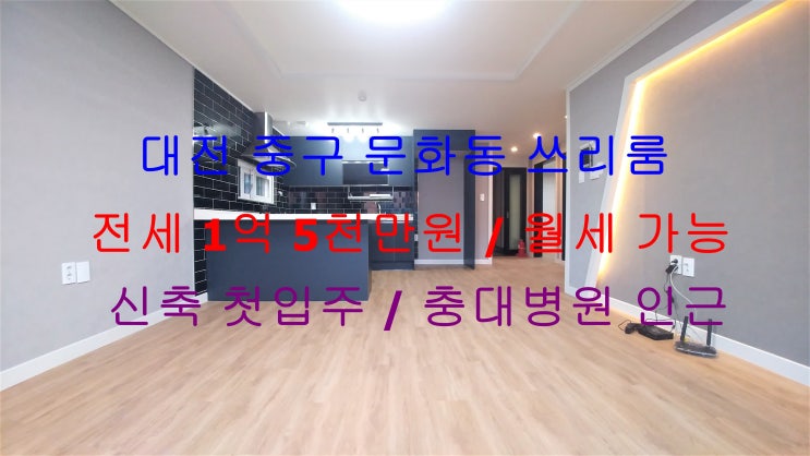  대전 중구 문화동 충대병원 인근에 있는 신축 첫입주 아파트구조 쓰리룸 !! 전세 , 월세 모두 가능한 매물입니다 ^^