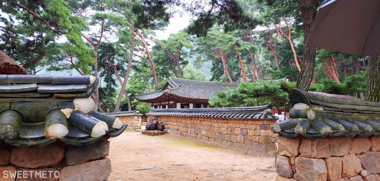  영월여행 :) 청령포 (단양-영월 2박3일 여행)