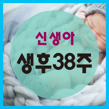  생후 38주 정보