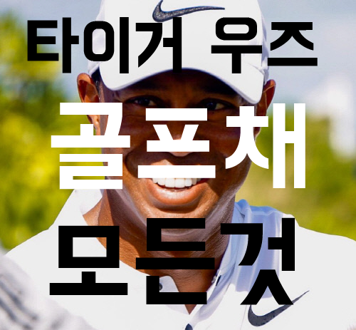 타이거 우즈의  아이언 드라이버 샤프트 그립! 골프공