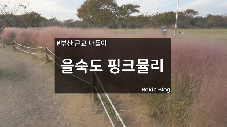  부산 근교 나들이 핑크빛 물들다 을숙도 핑크뮬리