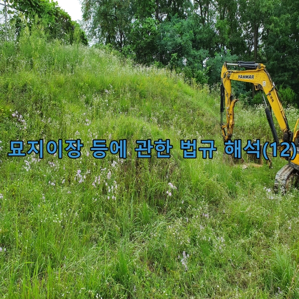 묘지이장 등에 관한 법규 해석(12)