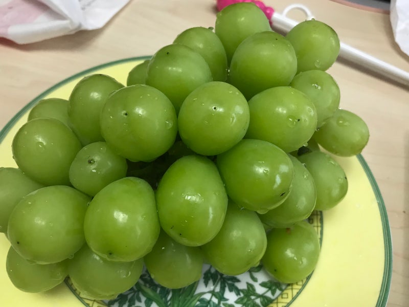 퐁퐁 하나 잘 골랐다! : 네이버 블로그