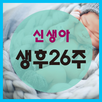 생후 26주 정보