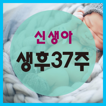  생후 37주 정보