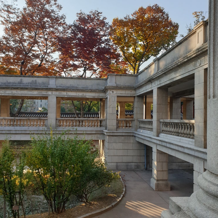  창덕궁 그리고 덕수궁