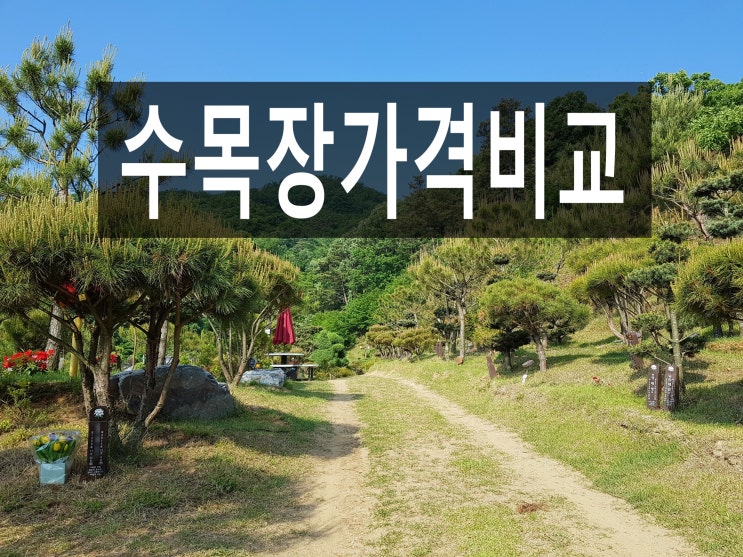  수목장가격비교 어떻게 하나요?