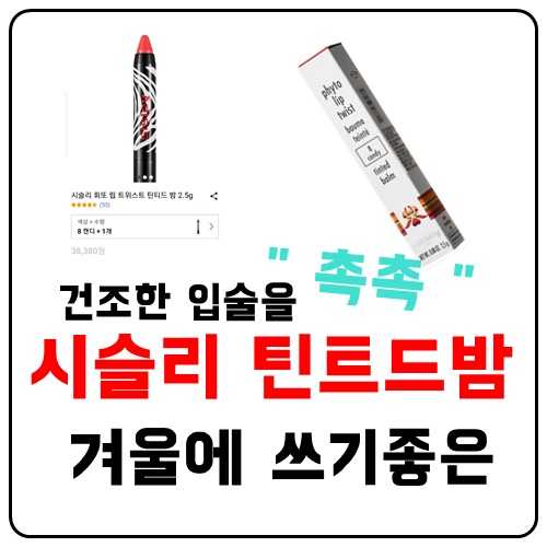  건조한입술 시슬리틴티드밤 추천