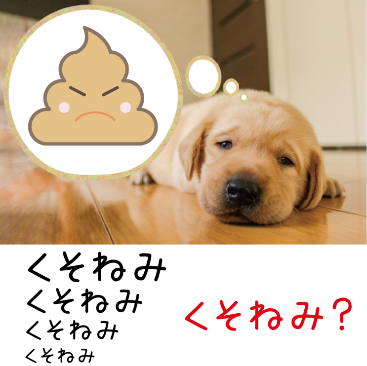  [2018 유행어] 29회 クソネミ