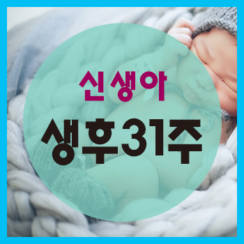  생후 31주 정보