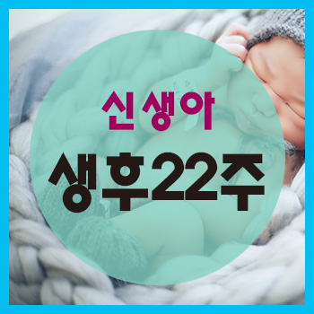  생후 22주 정보