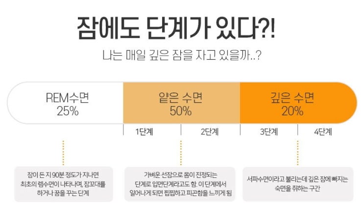  대전 중구 은행동 선화동 대흥동 헬스장 가온헬스 운동과 수면