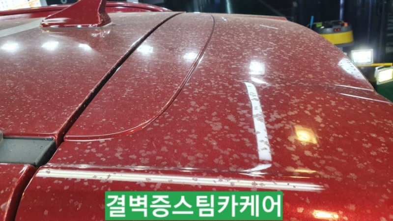 부산 사상구 / 디테일링/세차 / 현대 / 코나