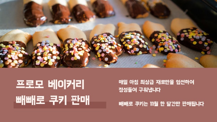  신규 템플릿 업데이트 안내 - 빼빼로데이 템플릿