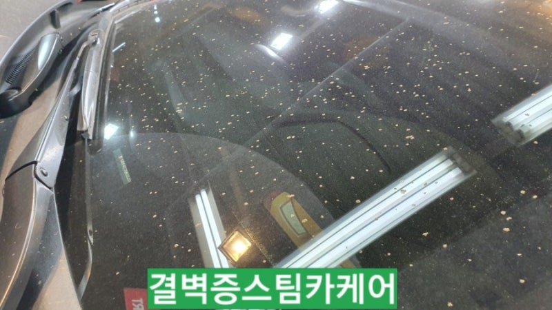 부산 사상구 / 디테일링/세차 / 현대 / 코나