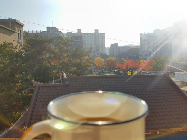  오늘 나는 창가에 앉아서 밖을 보았다.