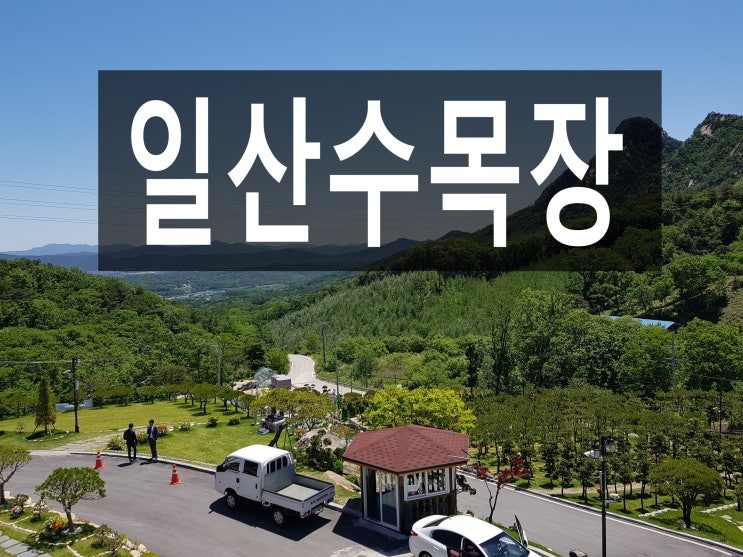  일산수목장 선택시 주의할점!