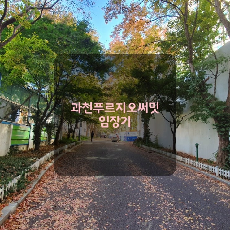  과천의 대장! 과천 푸르지오 써밋 / 부린이 직딩의 점심시간 임장