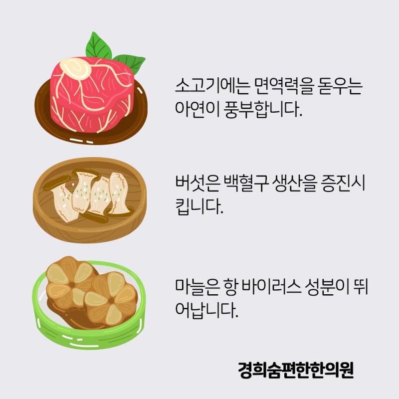 폐(+기관지)에 좋은 음식과 과일