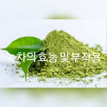  녹차 카테킨의 효능 및 부작용 알고 마시고 다이어트하고!