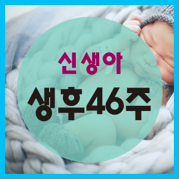 생후 46주 정보