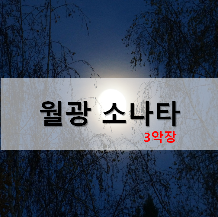  [기타 악보]베토벤, 월광 소나타