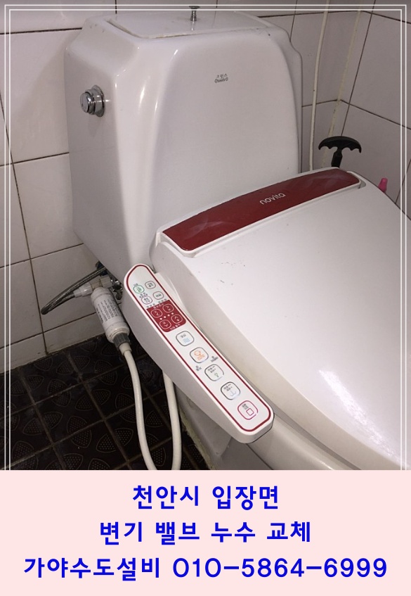  천안시 입장면 도림리 주택 변기부속누수 변기 아래로 물이 떨어져요 변기누수 수리해주세요
