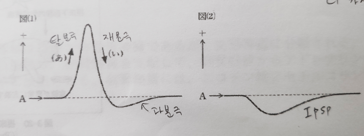  1-2 기능형태학 - 소테스트 예상문제
