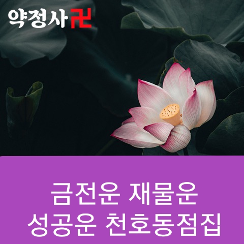 서울점잘보는곳 용한점집 법당 운맞이정성 드리는 약정사 혜인!