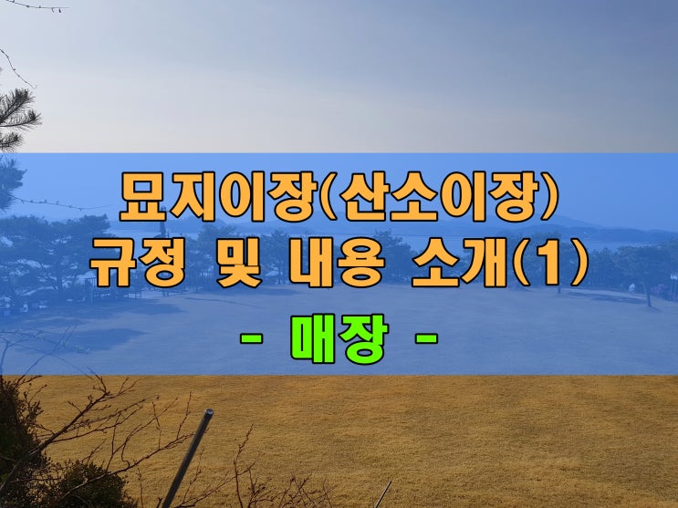  묘지이장(산소이장) 규정 및 관련 내용 소개(1) - 매장 -
