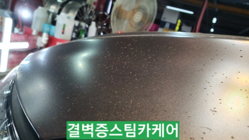 부산 사상구 / 디테일링/세차 / 현대 / 코나