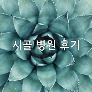  나는 왜 시골에 있는 병원을 갔는가?(Feat. 비염)
