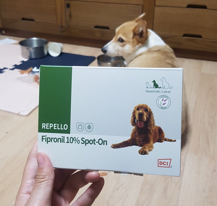 강아지 벼룩,진드기 약 - 리펠로(repello) + 사용방법, 후기