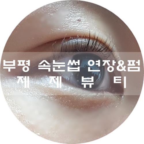  부평 속눈썹 연장&펌 잘하는 곳 :) 제제뷰티