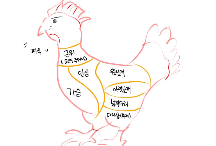 모든 닭고기 부위별 특징 알아보기