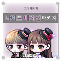  [KMS 캐시] 메이플스토리 코디 패키지 : 나이트 매지션 패키지