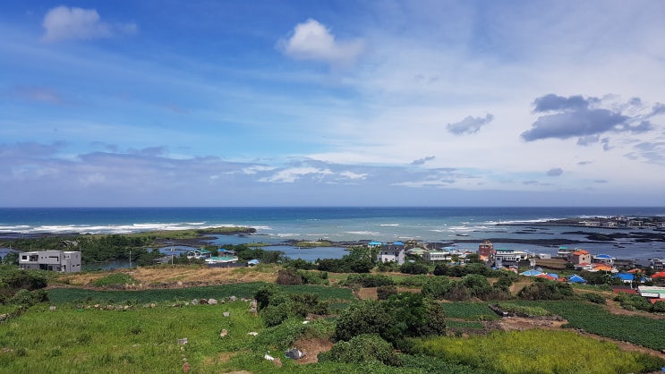  O-PEACE JEJU (오-피스 제주, 오피스제주) 이용안내
