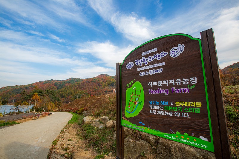 사진 5